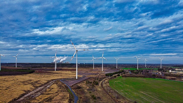 Frauen in der Windkraft: Pionierinnen der erneuerbaren Energien